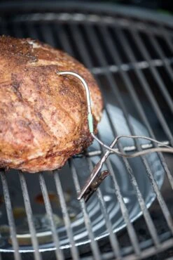 Big Green Egg EGG Genius Temperatursteuerung 9 Big Green Egg EGG Genius Temperatursteuerung -Campinggeschäfte Big Green Egg EGG Genius Fleischsonde 121059