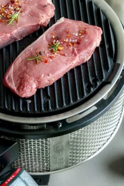 Cobb Grill Premier Gas Deluxe 2.0 - Gasgrill - Kartuschenanschluss - Modell 2023 17 Cobb Grill Premier Gas Deluxe 2.0 - Gasgrill - Kartuschenanschluss - Modell 2023 -Campinggeschäfte Cobb Grasgrill Premier Deluxe 2 Griddle Grillplatte