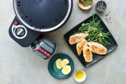 Cobb Grill Premier Gas Deluxe 2.0 - Gasgrill - Kartuschenanschluss - Modell 2023 16 Cobb Grill Premier Gas Deluxe 2.0 - Gasgrill - Kartuschenanschluss - Modell 2023 -Campinggeschäfte Cobb Grill Premier Gas Deluxe 2 0 Grillplatte