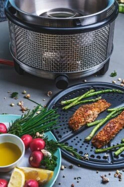 Cobb Grill Premier+ Gas Deluxe Gasgrill 30mbar - Modell 2023 19 Cobb Grill Premier+ Gas Deluxe Gasgrill 30mbar - Modell 2023 -Campinggeschäfte Cobb Grill Premier Plus Gas Deluxe Griddle 1