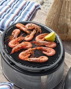 Cobb Grill Supreme Deluxe 2.0 Holzkohlegrill - Modell 2023 15 Cobb Grill Supreme Deluxe 2.0 Holzkohlegrill - Modell 2023 -Campinggeschäfte Cobb Grill Supreme Deluxe Griddle Grillplatte
