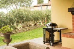 Napoleon Holzkohlegrill Kugelgrill Ø 57cm Im Rollwagen Mit Gussrost Und Deckelscharnier PRO22K-Cart-2 -Campinggeschäfte napoleon grill terrasse PRO22K CART 2