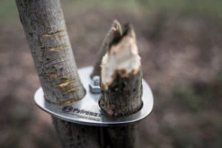 Petromax Dreibein-Ring -Campinggeschäfte petromax dreibeinring detail d ring